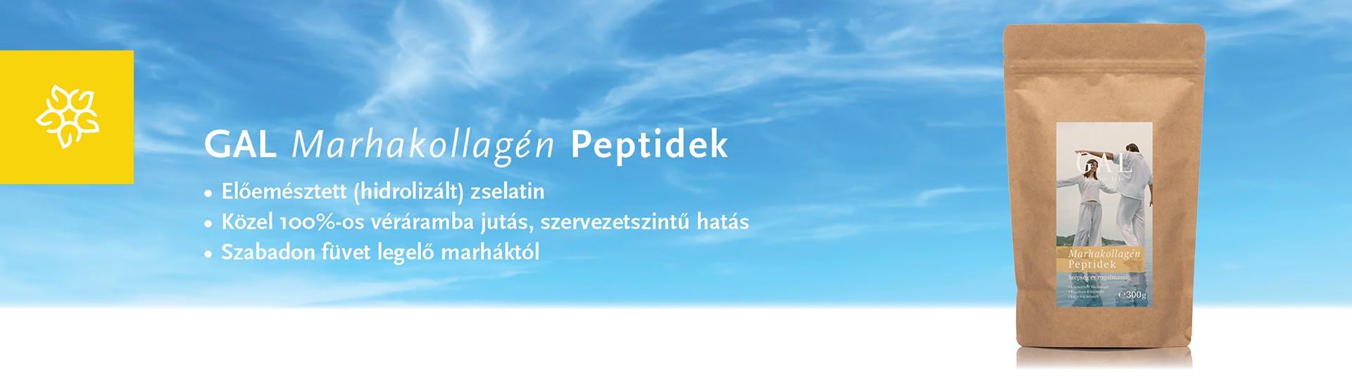 GAL Marhakollagén Peptidek Klasszik összefoglaló